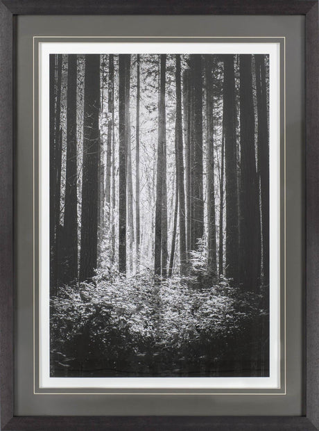 Lowland Winter Forest No 13, Tiger Mountain by Bisig, Steve a Framed Photo Art Print Matted under Gl by Mercana at Eve Furniture