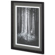 Lowland Winter Forest No 13, Tiger Mountain by Bisig, Steve a Framed Photo Art Print Matted under Gl by Mercana at Eve Furniture