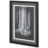 Lowland Winter Forest No 13, Tiger Mountain by Bisig, Steve a Framed Photo Art Print Matted under Gl by Mercana at Eve Furniture