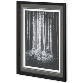 Lowland Winter Forest No 13, Tiger Mountain by Bisig, Steve a Framed Photo Art Print Matted under Gl by Mercana at Eve Furniture