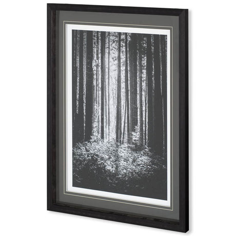 Lowland Winter Forest No 13, Tiger Mountain by Bisig, Steve a Framed Photo Art Print Matted under Gl by Mercana at Eve Furniture
