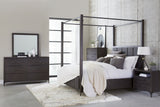 Lucerne Mirror in Vintage Coffee by Modus Furniture at Eve Furniture
