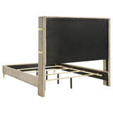 Lucia Beige 4-Piece Queen Bedroom Set with Upholstered Wingback Panel Bed by Coaster at Eve Furniture