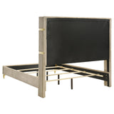 Lucia Beige And White 3-Piece Queen Bedroom Set by Coaster at Eve Furniture