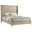Lucia Beige Upholstered Eastern King Wingback Panel Bed by Coaster at Eve Furniture