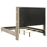 Lucia Beige Upholstered Eastern King Wingback Panel Bed by Coaster at Eve Furniture