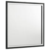 Lucia Black Dresser Mirror by Coaster at Eve Furniture