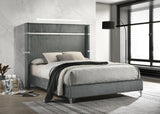 Lucia Gray 61-inch Upholstered Eastern King Panel Bed by Coaster at Eve Furniture