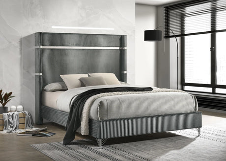 Lucia Gray 61-inch Upholstered Eastern King Panel Bed by Coaster at Eve Furniture