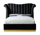 Luna Black 66"H Queen Platform Bed by New Era Innovations at Eve Furniture