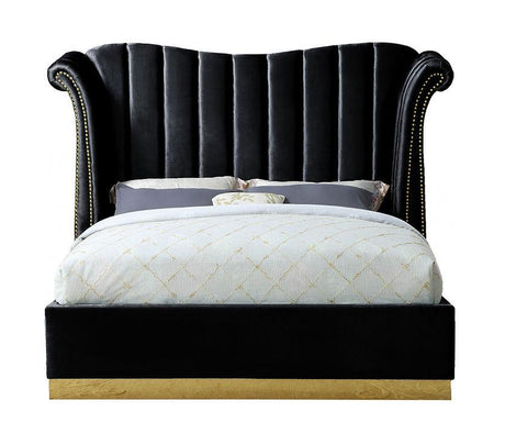 Luna Black 66"H Queen Platform Bed by New Era Innovations at Eve Furniture