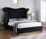 Luna Black 66"H Queen Platform Bed by New Era Innovations at Eve Furniture