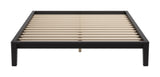 Luum Black Queen Platform Bed Frame by Zuomod at Eve Furniture