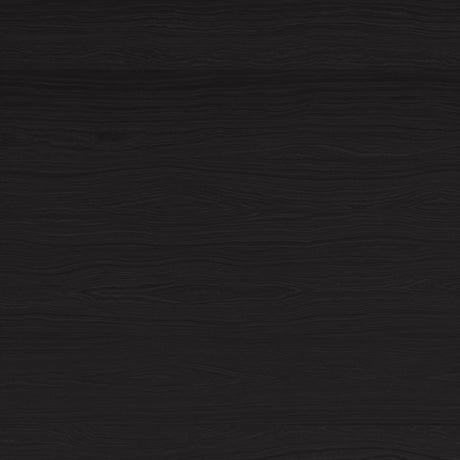 Luum Black Queen Platform Bed Frame by Zuomod at Eve Furniture