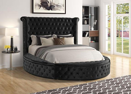 Lux II (USB Charger) Black Queen Platform Bed by New Era Innovations at Eve Furniture