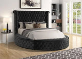Lux II (USB Charger) Black Queen Platform Bed by New Era Innovations at Eve Furniture