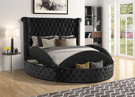 Lux II (USB Charger) Black Queen Platform Bed by New Era Innovations at Eve Furniture