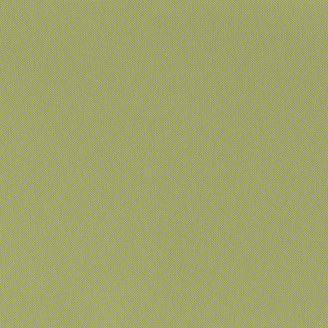 Lychee Green Outdoor Armchair by Zuomod at Eve Furniture