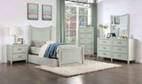 Lycorida Gray Bedroom Mirror Only by Furniture of America at Eve Furniture