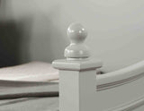 Lycoris Light Gray Twin Daybed by Furniture of America at Eve Furniture