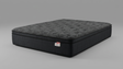 M-Frost Firm Euro Queen Mattress by New Era Innovations at Eve Furniture
