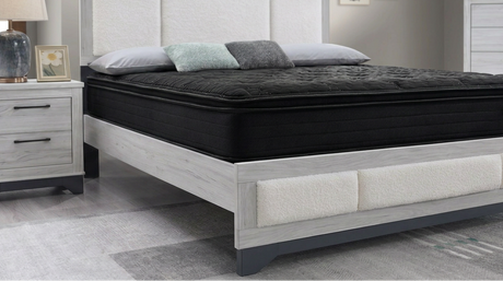 M-Ice Plush Euro Queen Mattress by New Era Innovations at Eve Furniture