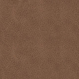 Mackmenville Caramel Reclining Sofa by Eve Furniture at Eve Furniture