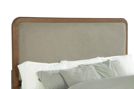 Maderia 57-inch Upholstered California King Panel Bed Walnut by Coaster at Eve Furniture