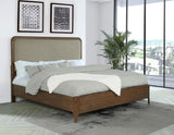 Maderia 57-inch Upholstered California King Panel Bed Walnut by Coaster at Eve Furniture