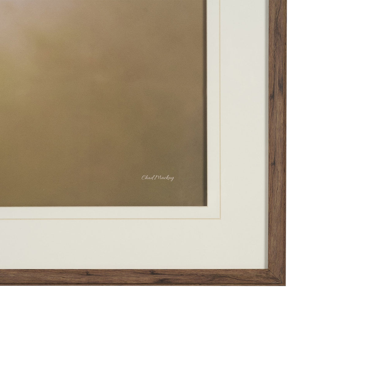 Magic by Chad Mackay FramedPhoto Print Matted under Glass by Mercana at Eve Furniture