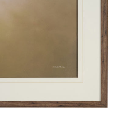 Magic by Chad Mackay FramedPhoto Print Matted under Glass by Mercana at Eve Furniture