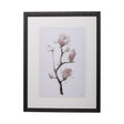 Magnolia I by Gabrielle C a Framed Art Print Matted under Glass by Mercana at Eve Furniture