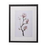 Magnolia I by Gabrielle C a Framed Art Print Matted under Glass by Mercana at Eve Furniture