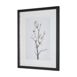 Magnolia II by Gabrielle C a Framed Art Print Matted under Glass by Mercana at Eve Furniture