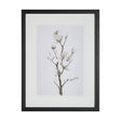 Magnolia II by Gabrielle C a Framed Art Print Matted under Glass by Mercana at Eve Furniture
