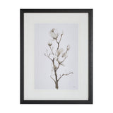 Magnolia II by Gabrielle C a Framed Art Print Matted under Glass by Mercana at Eve Furniture