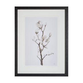 Magnolia II by Gabrielle C a Framed Art Print Matted under Glass by Mercana at Eve Furniture