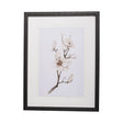 Magnolia III by Gabrielle C a Framed Art Print Matted under Glass by Mercana at Eve Furniture