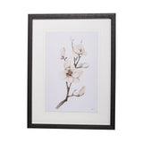 Magnolia III by Gabrielle C a Framed Art Print Matted under Glass by Mercana at Eve Furniture