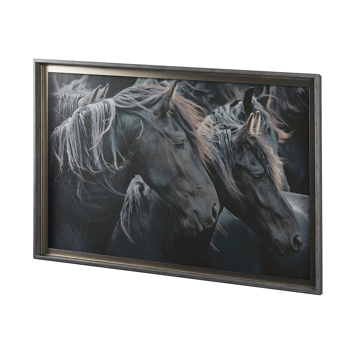 Majestic Admiration by Mercana Studio a Framed Photo Art Print Matted under Glass by Mercana at Eve Furniture