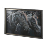 Majestic Admiration by Mercana Studio a Framed Photo Art Print Matted under Glass by Mercana at Eve Furniture