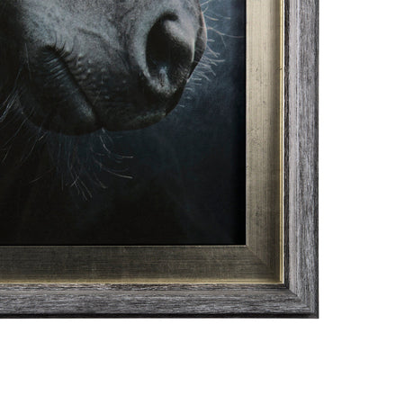 Majestic Admiration by Mercana Studio a Framed Photo Art Print Matted under Glass by Mercana at Eve Furniture