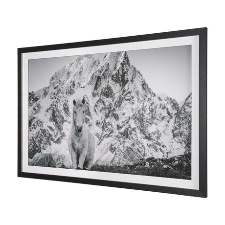 Majestic Mane - Snowscape by Matt Roseveare Framed Art Print Matted under Glass by Mercana at Eve Furniture