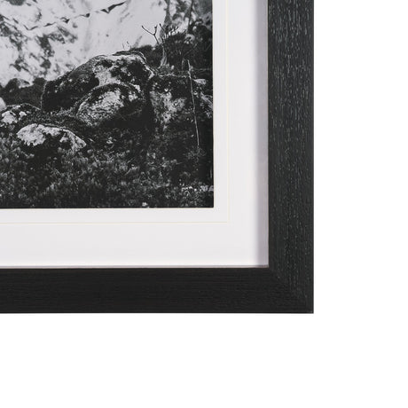 Majestic Mane - Snowscape by Matt Roseveare Framed Art Print Matted under Glass by Mercana at Eve Furniture