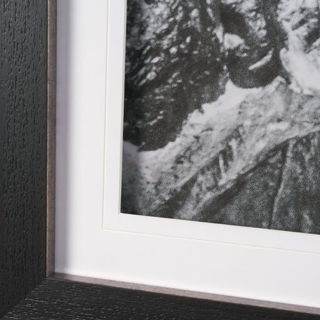 Majestic Mane - Snowscape by Matt Roseveare Framed Art Print Matted under Glass by Mercana at Eve Furniture