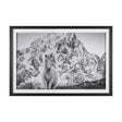 Majestic Mane - Snowscape by Matt Roseveare Framed Art Print Matted under Glass by Mercana at Eve Furniture