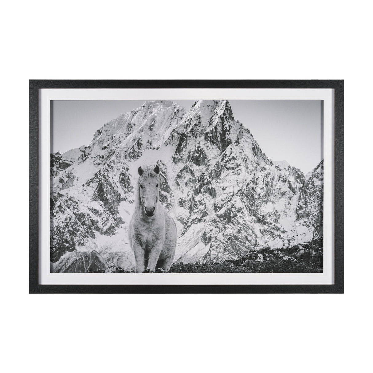 Majestic Mane - Snowscape by Matt Roseveare Framed Art Print Matted under Glass by Mercana at Eve Furniture