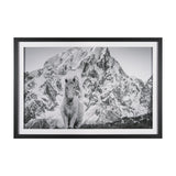 Majestic Mane - Snowscape by Matt Roseveare Framed Art Print Matted under Glass by Mercana at Eve Furniture