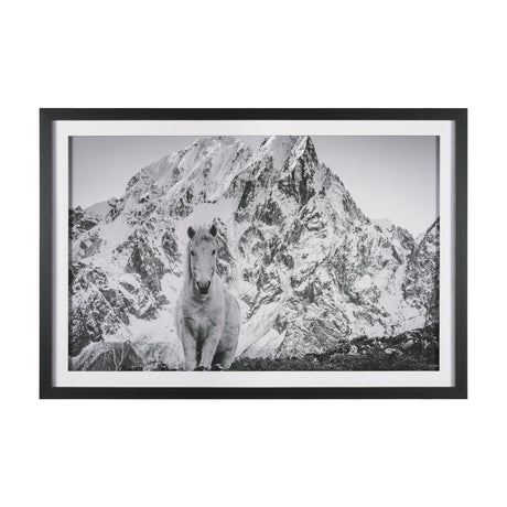 Majestic Mane - Snowscape by Matt Roseveare Framed Art Print Matted under Glass by Mercana at Eve Furniture