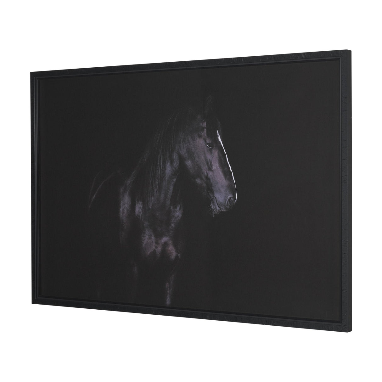 Majestic Midnight by Rehpoehler Framed Photo Print Matted under Glass by Mercana at Eve Furniture